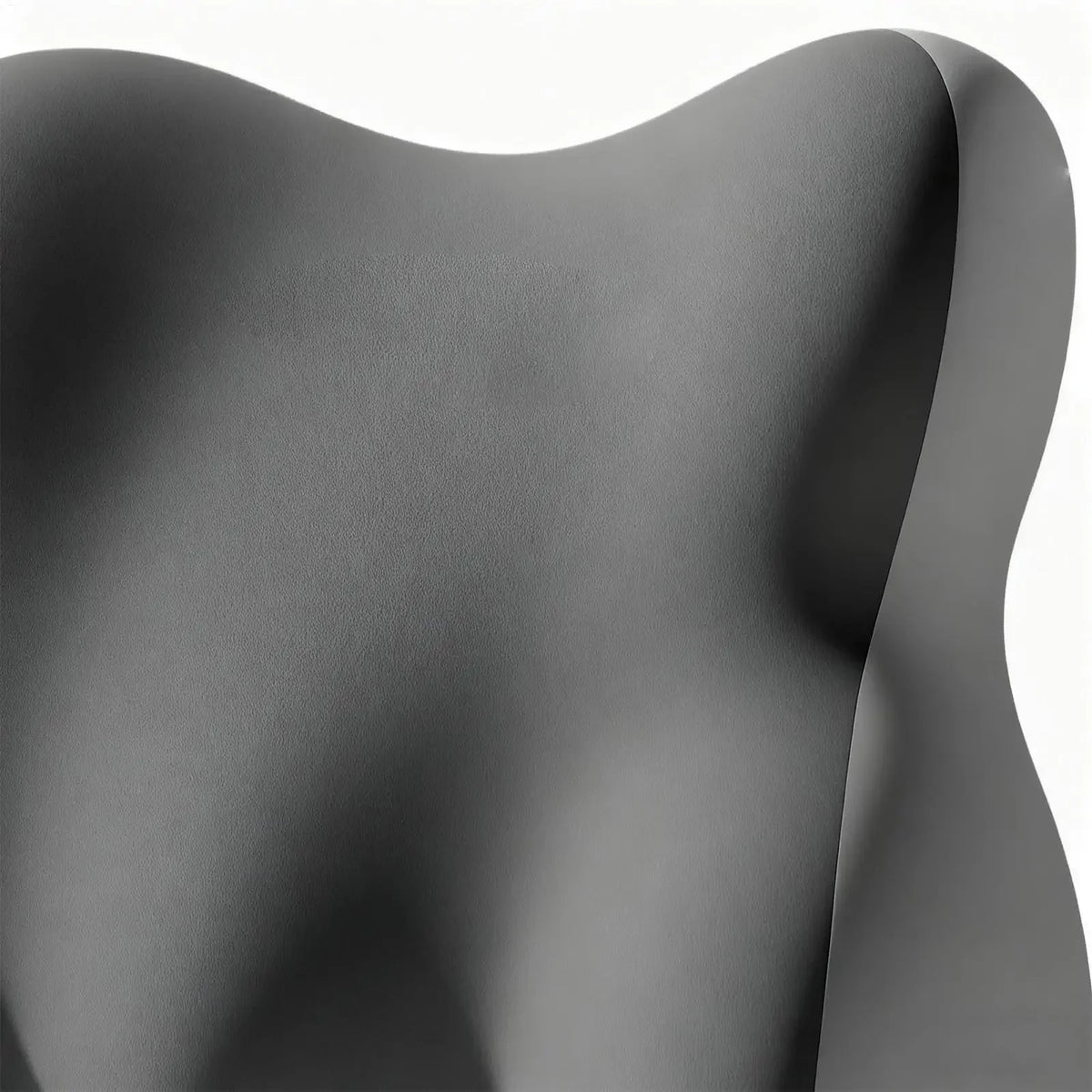 Coussin lombaire auto mousse mémoire forme appui-tête