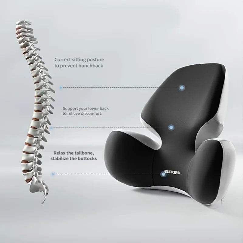 coussin dos lombaire