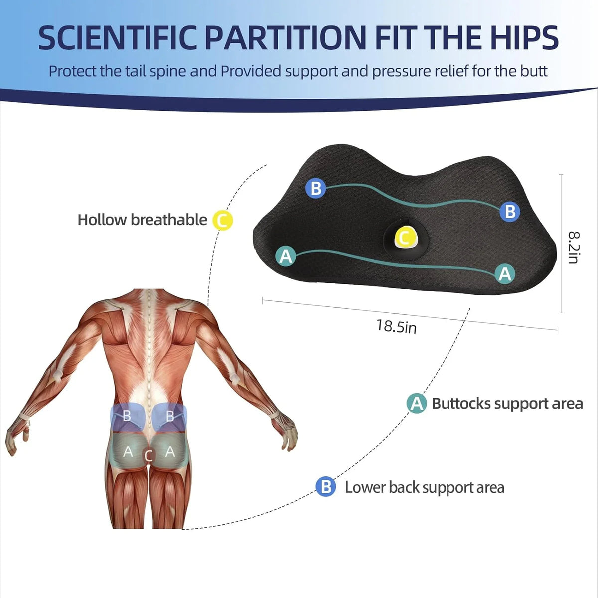 Coussin lombaire ergonomique arthrose douleurs mémoire