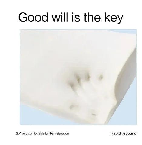 Coussin lombaire ergonomique mémoire forme bureau voiture