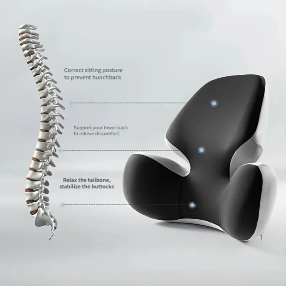 Coussin lombaire mousse mémoire ergonomique confort